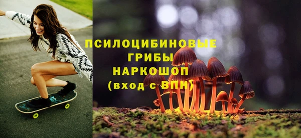 дмт Армянск