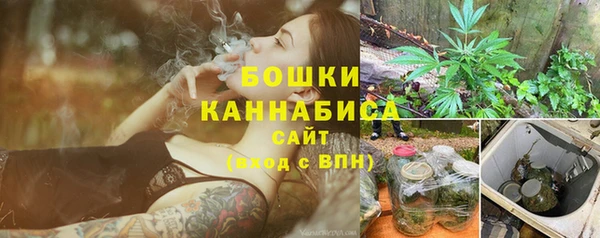 дурь Арсеньев