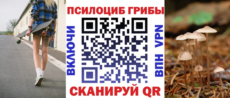 KRAKEN как войти  Тихорецк  Галлюциногенные грибы мухоморы  цена  